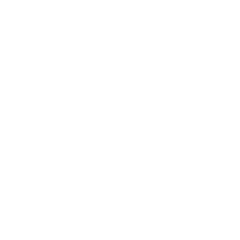 neew black horse logo white.png
