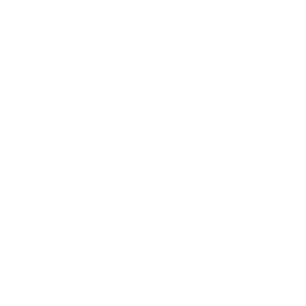 neew black horse logo white.png